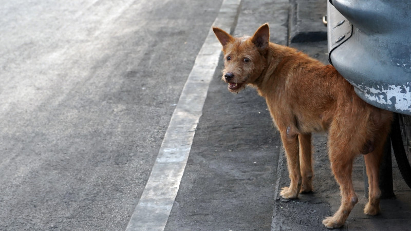 Фото:depositphotos.com