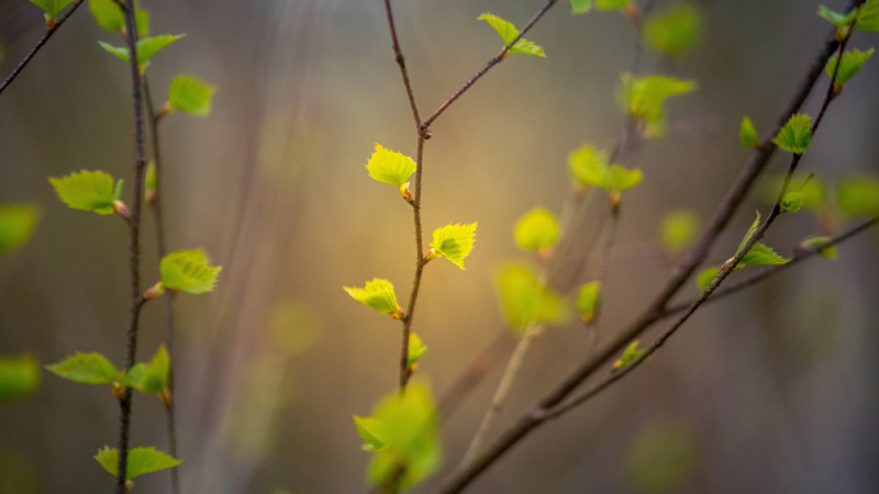 Фото:depositphotos.com