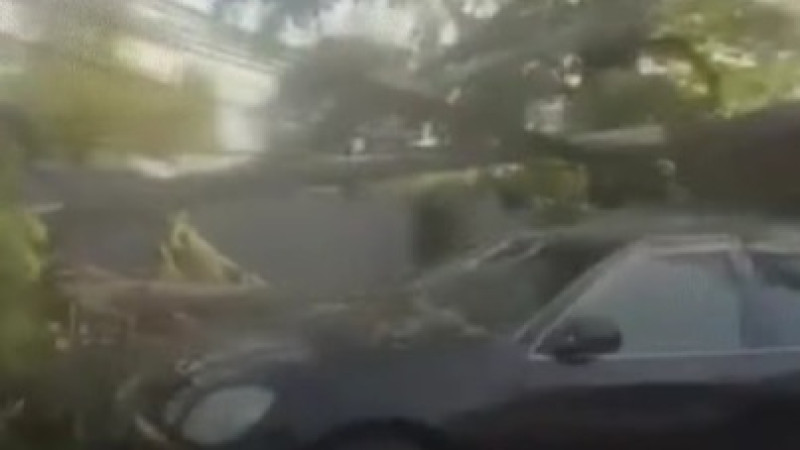 Кадры из видео