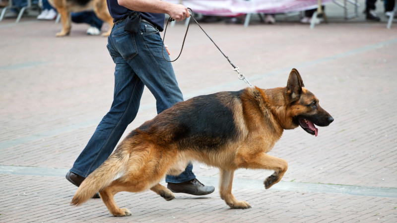 Иллюстративное фото:depositphotos.com