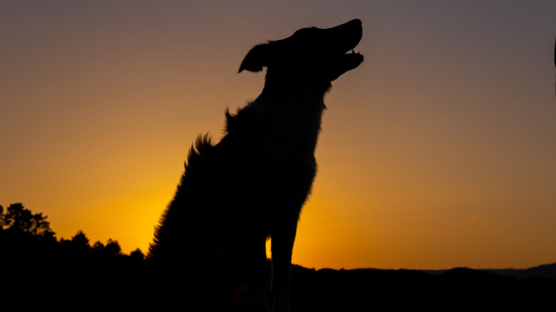 Фото:depositphotos.com