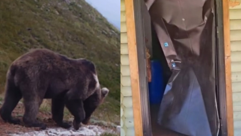 Кадры из видео