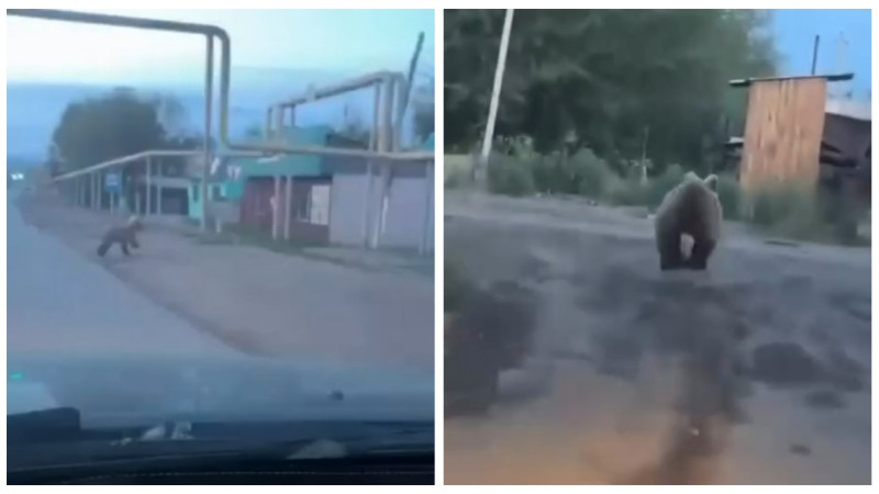 Кадры из видео