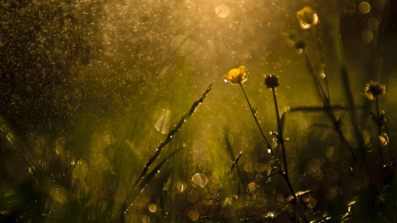 Фото:depositphotos.com