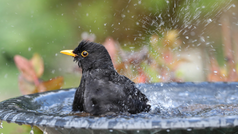 Фото:depositphotos.com