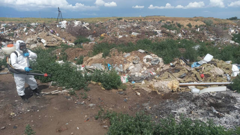 Фото: пресс-служба Минздрава