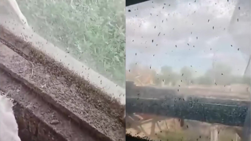 Кадры из видео