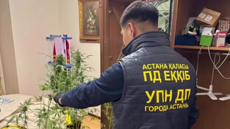 Кадр из видео