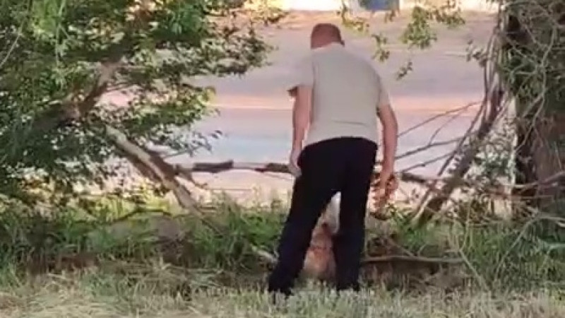 Кадр из видео