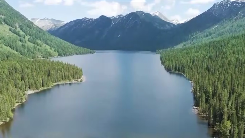 Кадр из видео / Almaty.tv