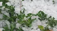 PHOTO: Weather-resistant hail hit Almaty 