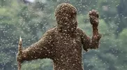 PHOTO: Chinese man covered with 27 kg of bees
