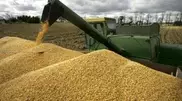 Grain harvest expected at 16-17 million tons: Agriculture Ministry