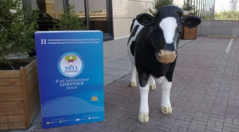 Second International Cattle-Breeding Florum. ©Renat Tashkinbayev 