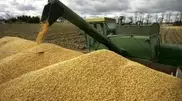 Kazakhstan raises grain harvest estimates