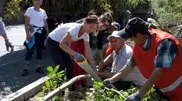 Yessimov criticized the speed of trees clean up in Ile-Alatau national park