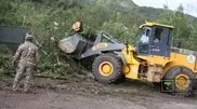 Over 6,000 fallen trees cleared off in Medeu
