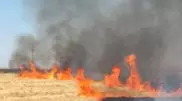 Fire burnt 300 hectares of crops in Kostanai oblast