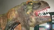 PHOTO: Dinosaurs exhibition opened in Petropavlovsk