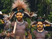 Cannibal cult arrests in Papua New Guinea: report 