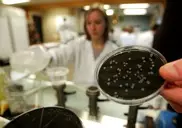 6 dead in Quebec Legionnaire's disease outbreak 