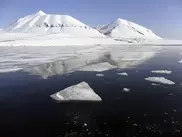 In climate landmark, Arctic ice melts to record low 