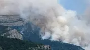 Fire from Issyk-Kul oblast spread to Kazakhstan mountains