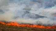 Fire quenched in Almaty oblast mountains