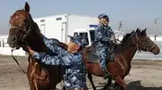 Kostanay horse cavalry gets pedigreed horses