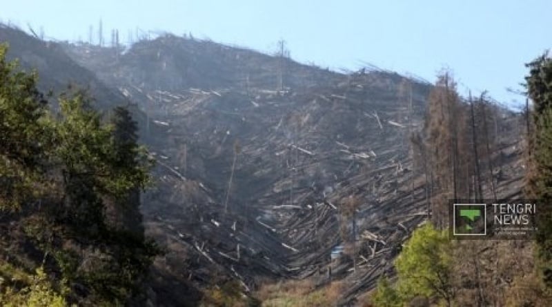 Ile-Alatau National Park after the wildfire was quenched. ©Vladimir Prokopenko