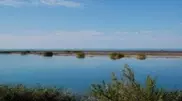 Kazakhstan wants Alakol lake in UNESCO Biosphere Reserves
