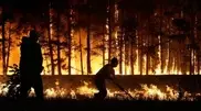 40 hectares on fire in Almaty oblast mountains