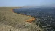 750 hectares of steppes burnt in Almaty oblast