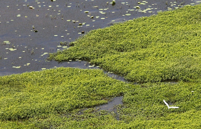 Oil spill. ©REUTERS