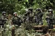 At least 20 FARC rebels killed in Colombia: army 