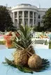 Australian scientists develop coconut-tasting pineapple 