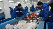 Waste-processing plant launched in Astana