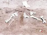Mexico archeologists uncover 800-year-old skeletons 
