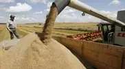 Kazakhstan considering a single grain company