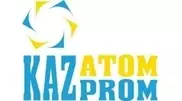Kazakhstani-Japanese JV SARECO to produce rare and rare earth metals in H2 2012