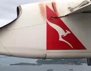 Passengers amazed as Australian snake clings to plane 