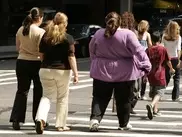 Obese likelier to die in car accidents: study 