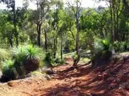 Australian teen survives nine weeks in wild 