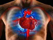 Erectile dysfunction signals heart troubles: study 