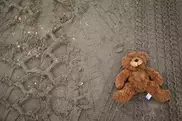 Belarus jails border guard over 'teddy bear invasion' 