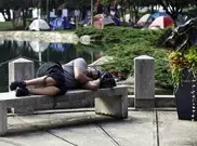 Lack of sleep leads to groggy genes: study 