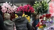 3 million flowers delivered to Almaty for March 8