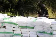 Mali war disrupts cocaine supply to Europe 