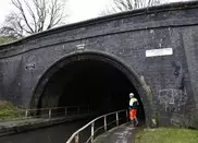 Plague of pigs in Shanghai river 