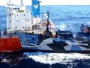 Anti-whalers return to Australia claiming win over Japan 